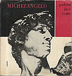 Michelangelo Buonarroti: Michelangelo, 1964