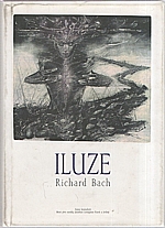 Bach: Iluze, 1996
