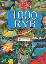 : 1000 ryb, 2008