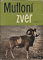 Mottl: Mufloní zvěř, 1960