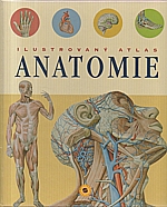 Rigutti: Ilustrovaný atlas anatomie, 2006