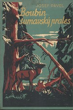 Pavel: Boubín, šumavský prales, 1938