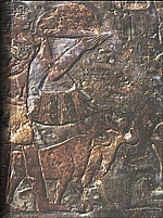 Verner: Objevování starého Egypta, 2008